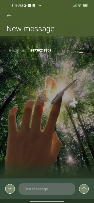 Exquisite Ding Dal - Screenshot 9