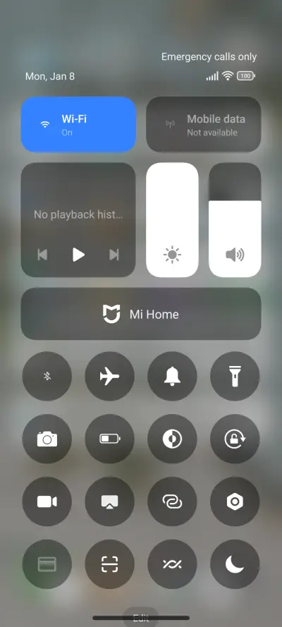 Dandelions - Screenshot 5
