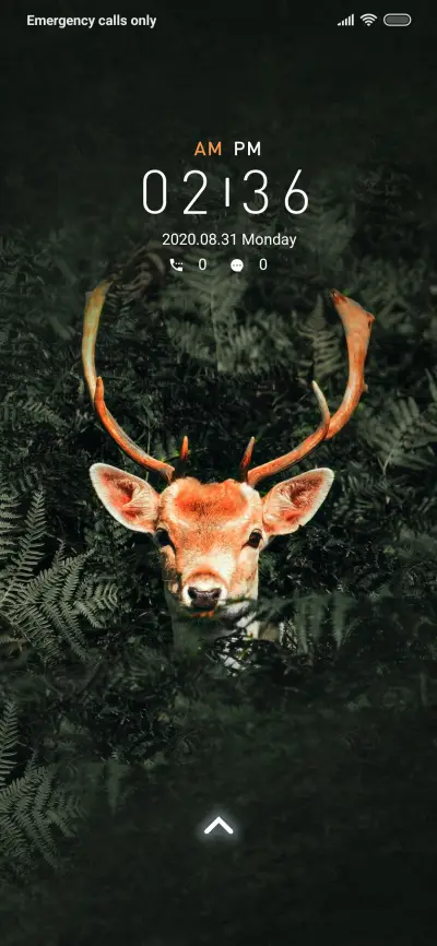 Shine_3MDP - Screenshot 1