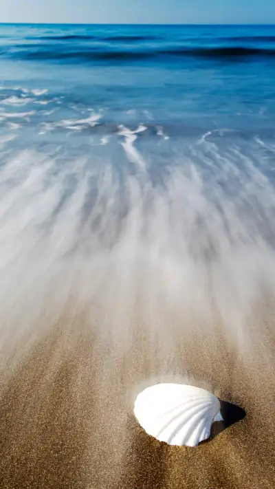 The smell of the sea