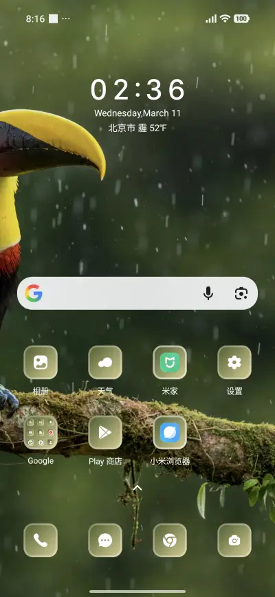 Toucan Bird - Screenshot 2