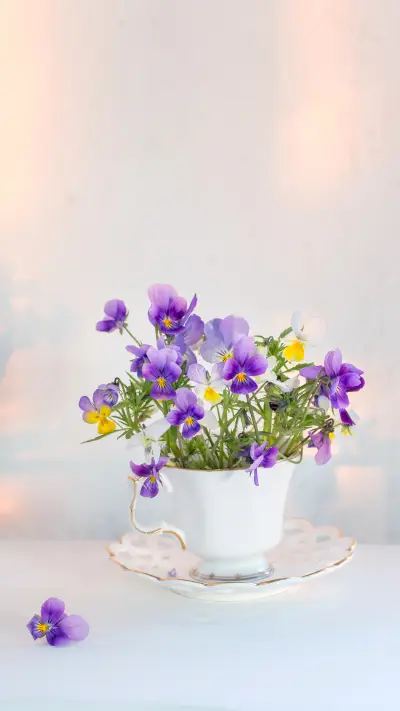 Viola flowers in white cup on white background