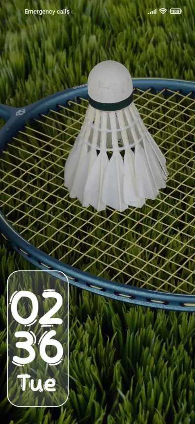Badminton - Screenshot 1
