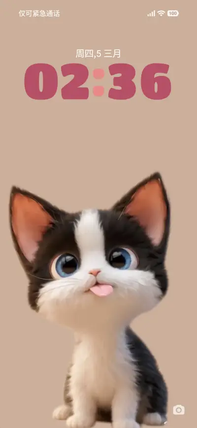 Devon cat