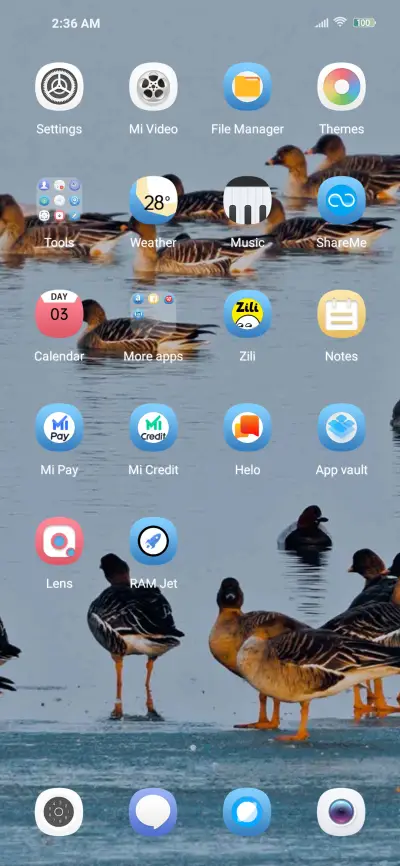 bird watching - Screenshot 3