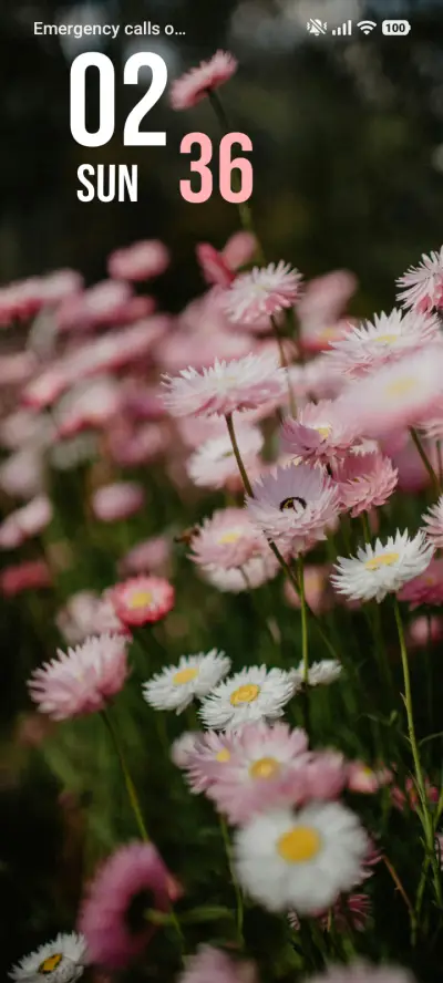 Floral Magic - Screenshot 1