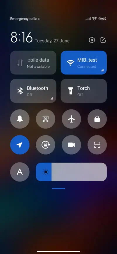 lion painting - Screenshot 5