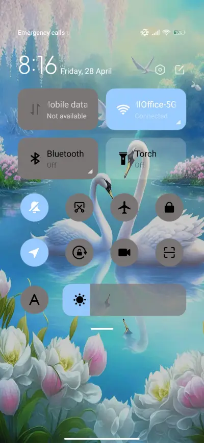 Dream Swan Lake - Screenshot 5