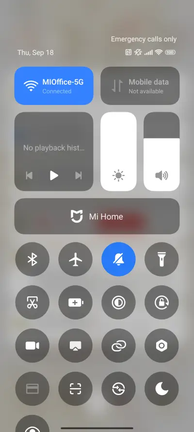 Ginkgos Autumn - Screenshot 6