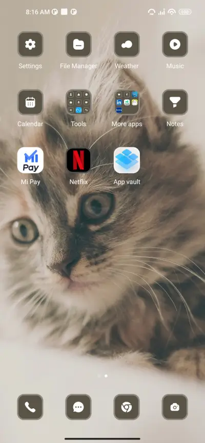 cat - Screenshot 3