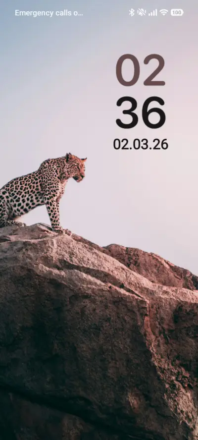 Jungle Safari - Screenshot 1