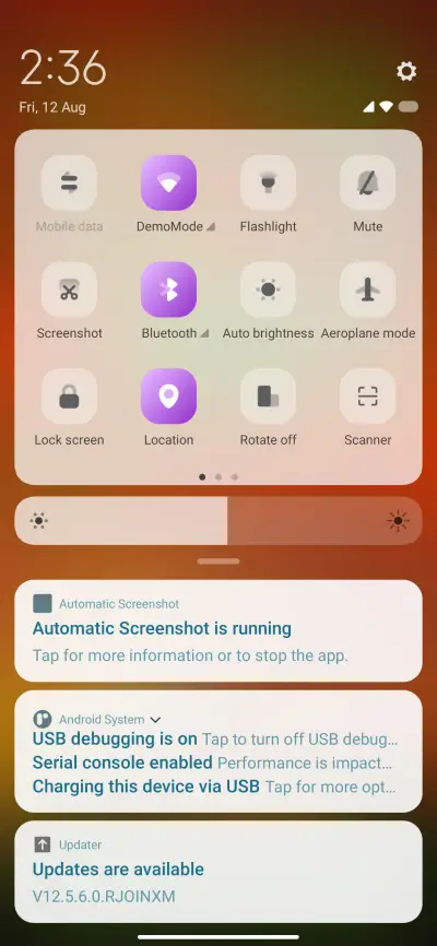 Night Flag - Screenshot 5