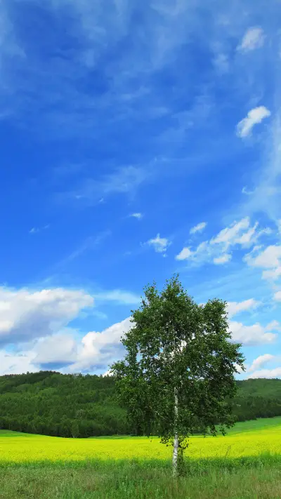 Hulunbuir is so beautiful all year round - Screenshot 1