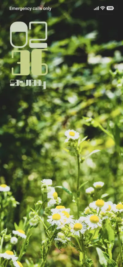 Tiny Garden - Screenshot 1