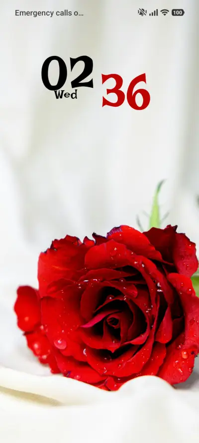 White Elegance - Screenshot 1