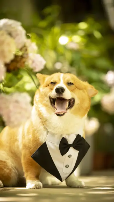 Dogs will expose your character 24