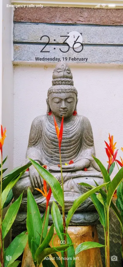 Official MIUI Theme_22