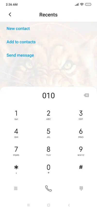 Fire Tiger - Screenshot 6