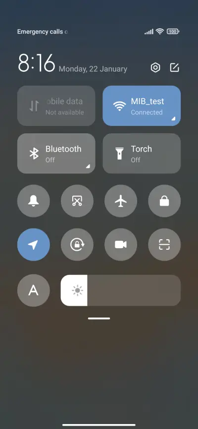 Winter Orangerie - Screenshot 5