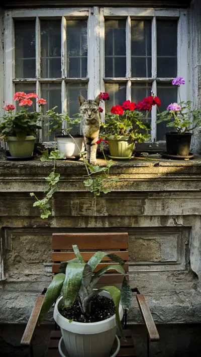 A cat with flowers - Screenshot 1