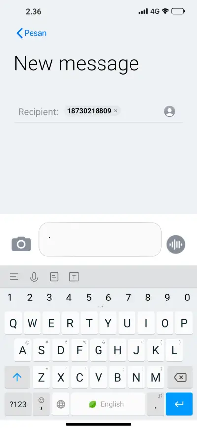 iPhone XR Old - Screenshot 8