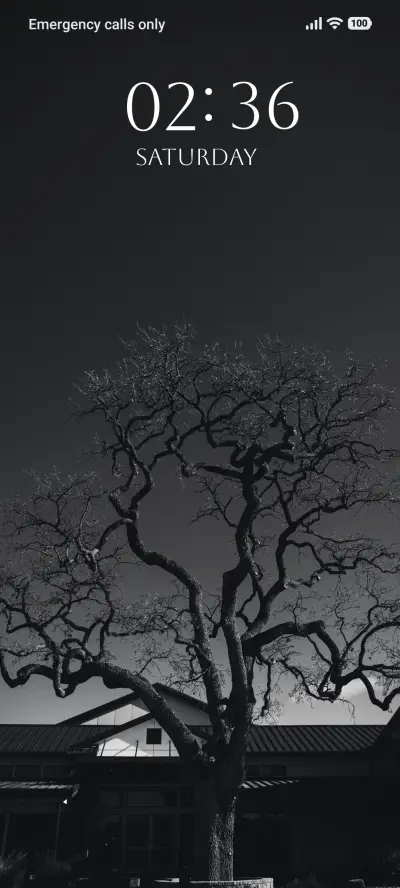 Shadow Leaf - Screenshot 1