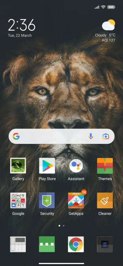 Lion - Screenshot 2