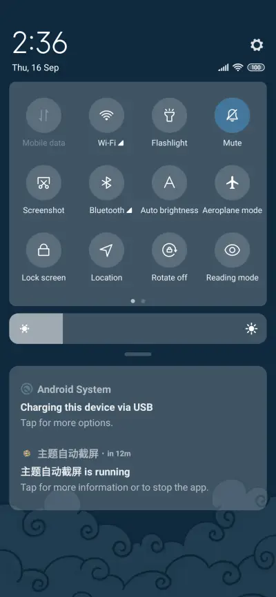 National panda - Screenshot 5