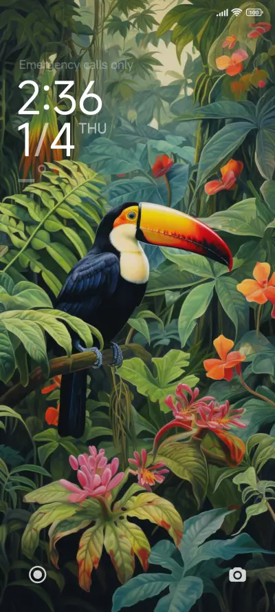 rainforest toucan