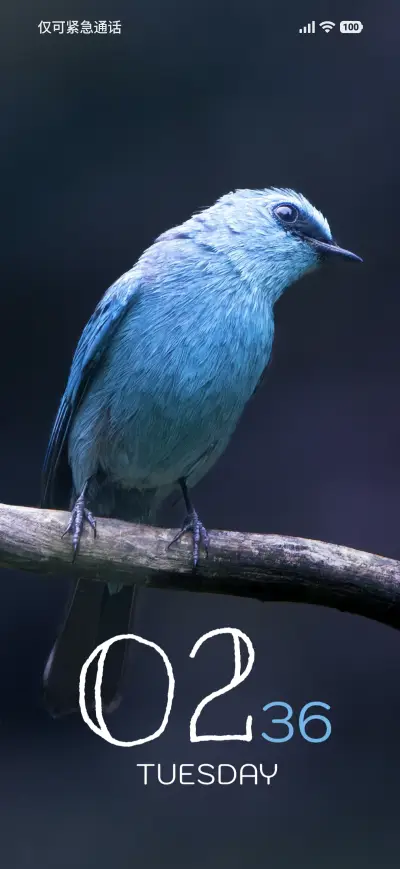 Butterfly Rest - Screenshot 1