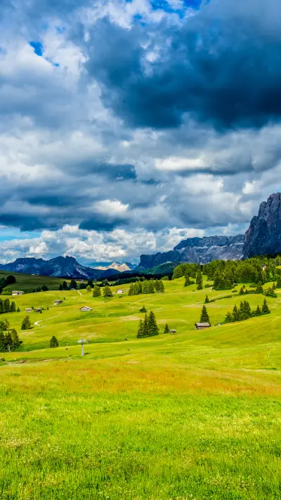 Green eye-protecting grassland