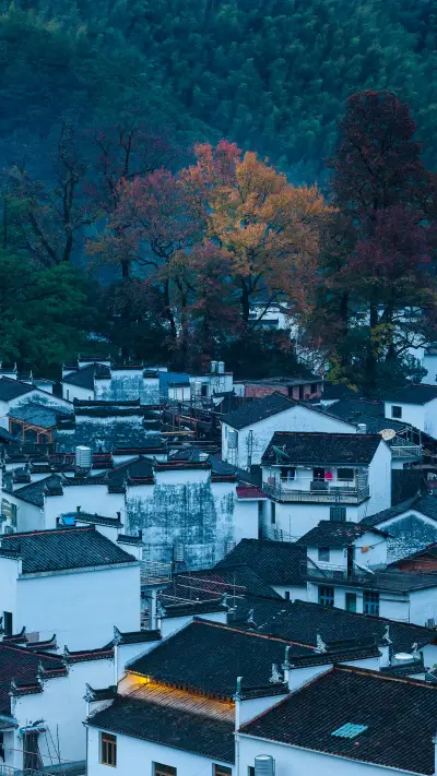 Maple infinite 20 li