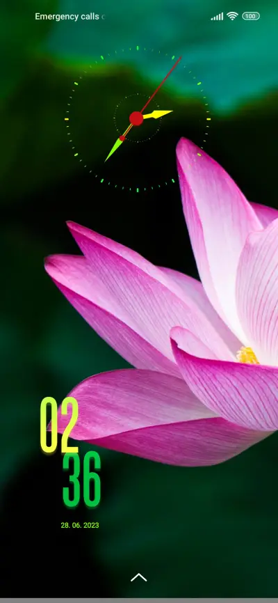 flower bloom - Screenshot 1