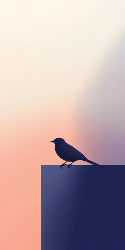 Silhouette1.jpg - Screenshot 1