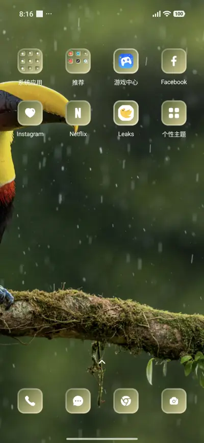 Toucan Bird - Screenshot 3