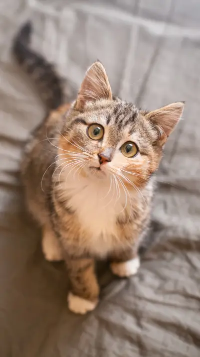 After shoveling shit officer to fall in love