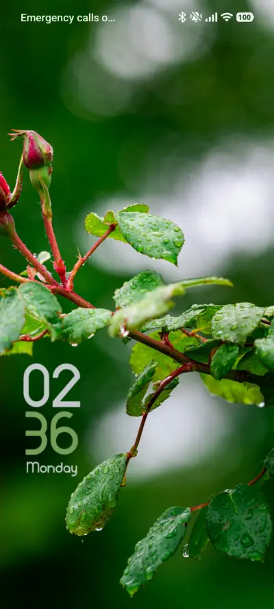 Misty Garden - Screenshot 1