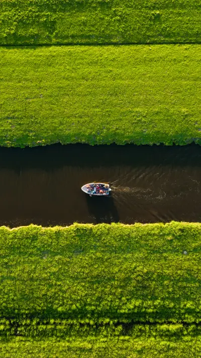 Eye care green grass