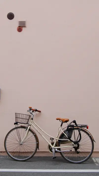 Bicycle (7)