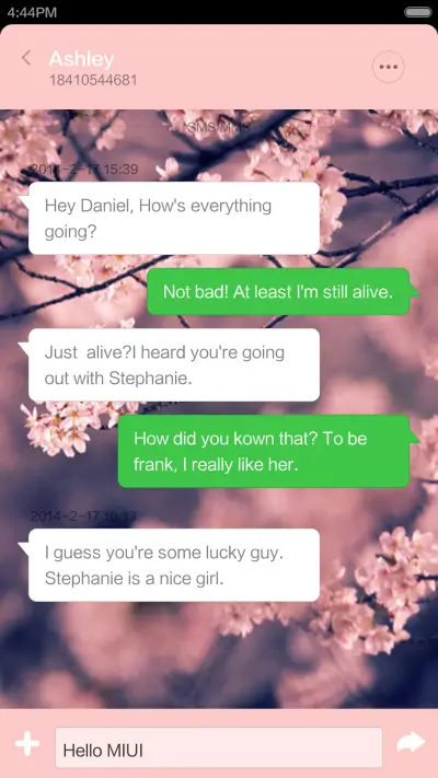 Sakura - Screenshot 6