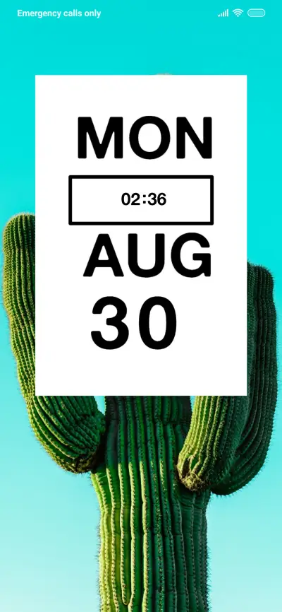 Plant Cactus - Screenshot 1