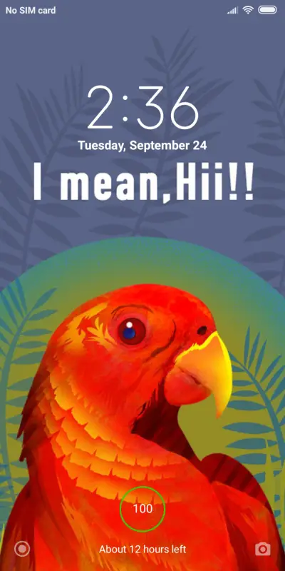 Official MIUI Theme_14