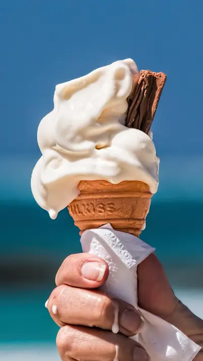 international_food (1)