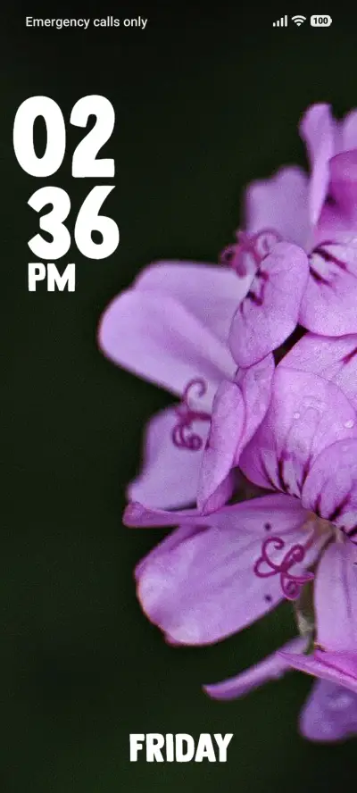 Purple - Screenshot 1