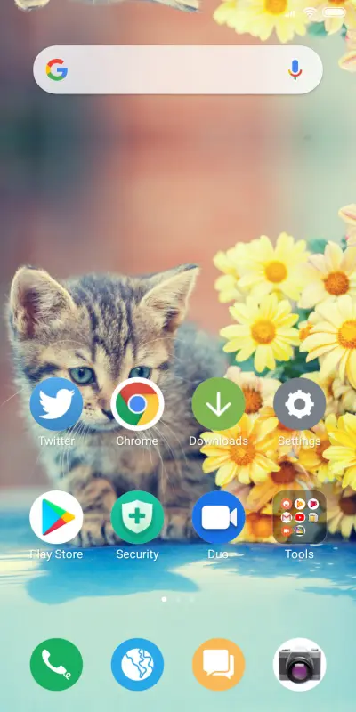 Cat_DWM19 - Screenshot 2