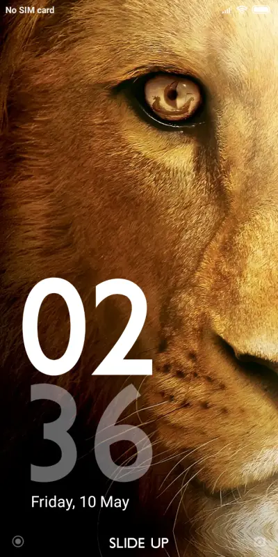 Leon_DWM19