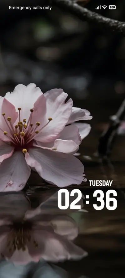 Blossom - Screenshot 1