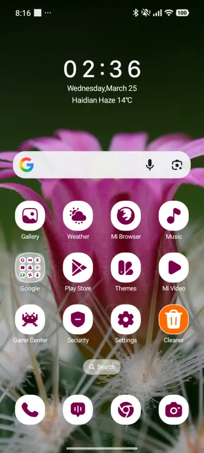 Desert Bloom - Screenshot 2