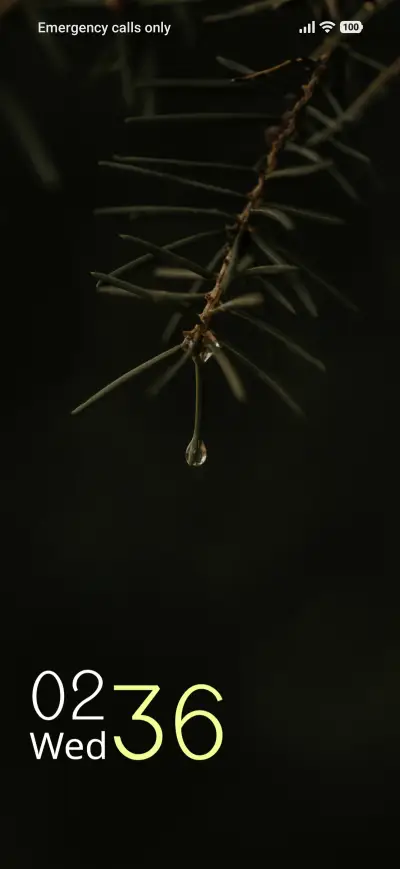 Pine Drople