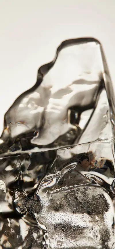 Still Life and Ice-PAIXIN